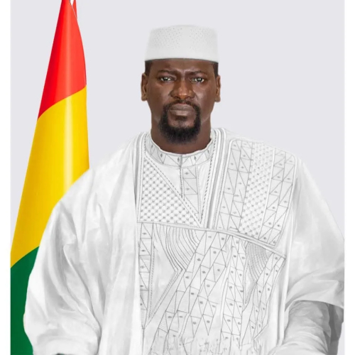 Guinée: un nouveau gouvernement partiel nommé après l’élection présidentielle